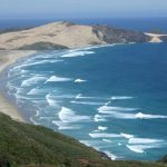 ☆【ニュージーランド2008】レインガ岬バスツアー Cape Reinga 1 Day Tour：Dune Rider Unique TOURS（166枚）