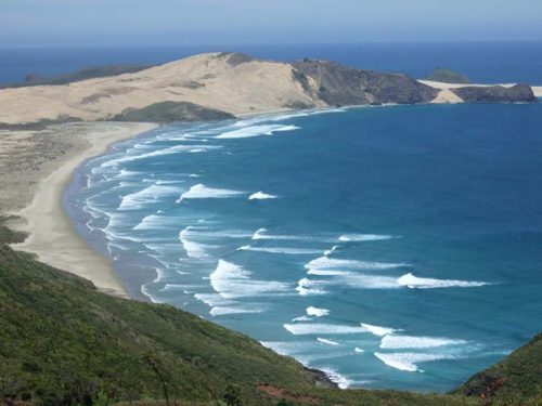☆【ニュージーランド2008】レインガ岬バスツアー Cape Reinga 1 Day Tour：Dune Rider Unique TOURS（166枚）