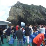 ☆【ニュージーランド2008】岩の洞窟クルーズ Hole in The Rock Cruise （116枚）