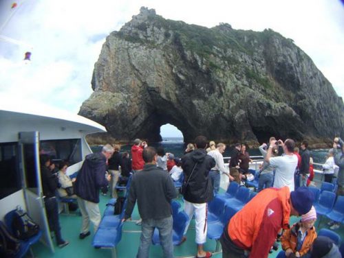 ☆【ニュージーランド2008】岩の洞窟クルーズ Hole in The Rock Cruise （116枚）
