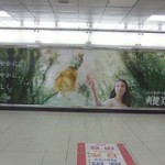 武井咲：爽健美茶★2012年02月08日のつぶやき★