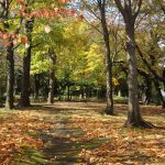 ameblo 今週の著作権フリー無料画像（9月22日）Weekly Free stock Photos