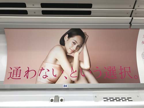 gooブログ 5月22日(月)のつぶやき：水原希子 Panasonic（電車マド上広告）